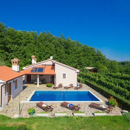 Holiday home Mihael - Roj540 By Interhome Zminj